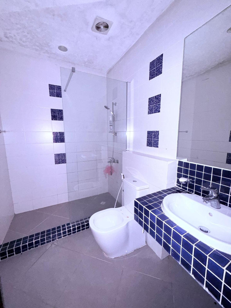 property 1013 image 6