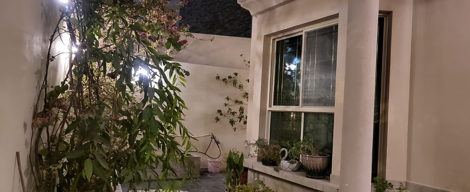 property 317 image 1
